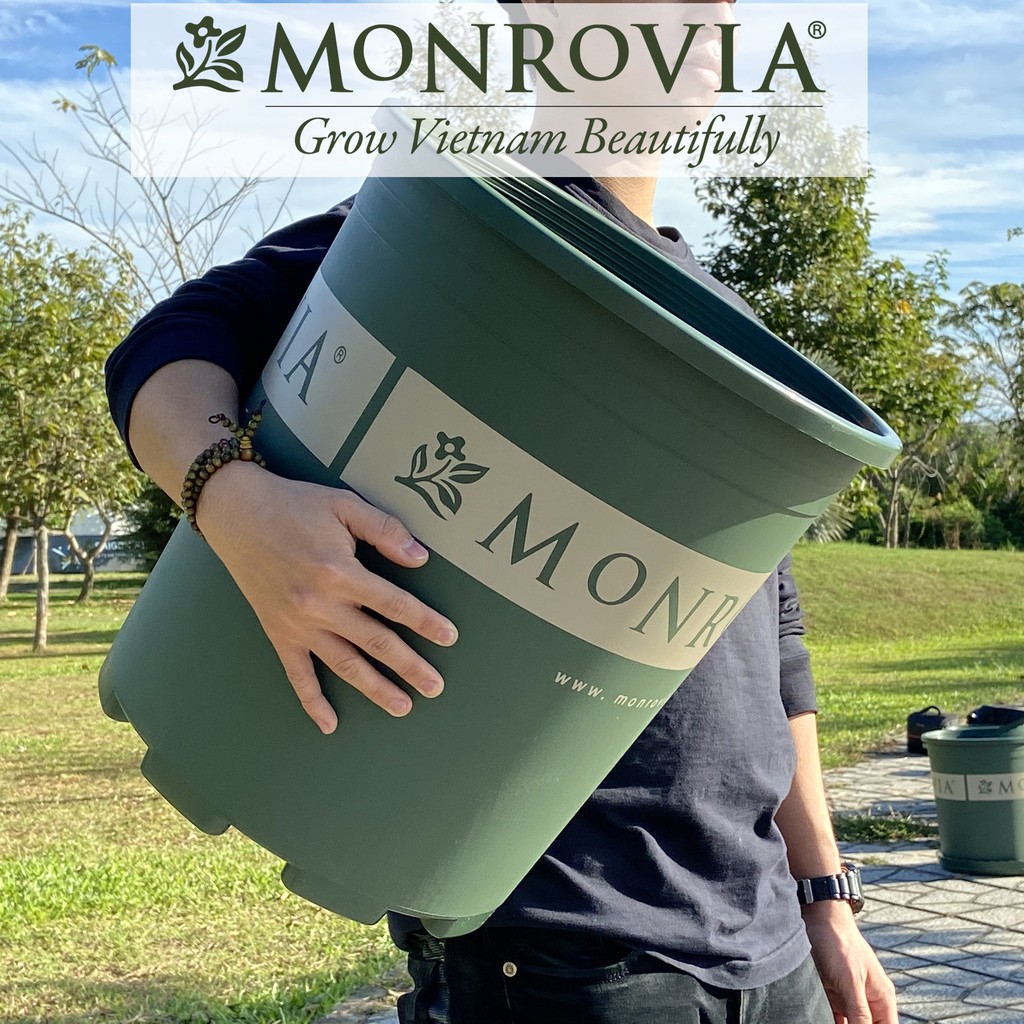 Chậu nhựa trồng cây MONROVIA 5 Gallon để bàn, treo ban công, treo tường, ngoài trời, sân vườn, tiêu chuẩn Châu Âu