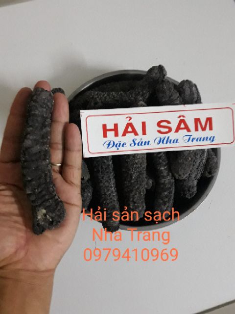 5 con hải sâm đen. Hải sâm Nha Trang loại đặc biệt