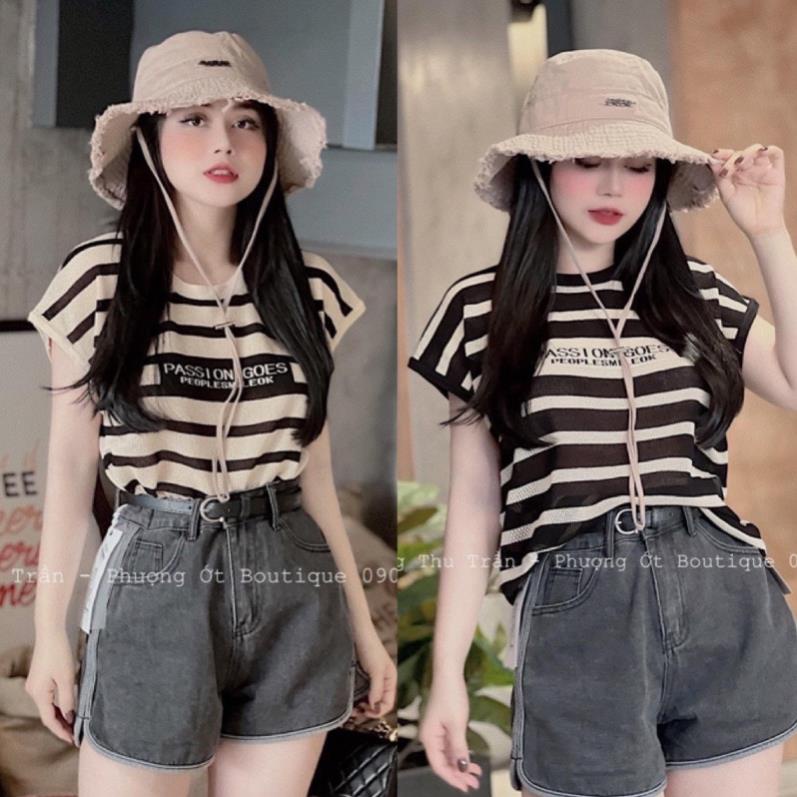 áo len kẻ mtg in chữ passion - 2 màu cho nữ