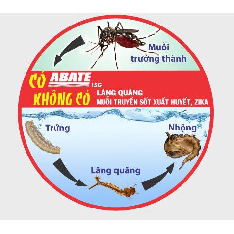 ABATE 1SC chai 100g - Thuốc diệt bọ gậy diệt lăng quăng