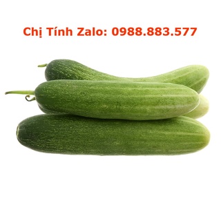 Dưa leo tươi giòn ngọt 0.5 - 1kg | giao siêu tốc 2 tiếng hcm
