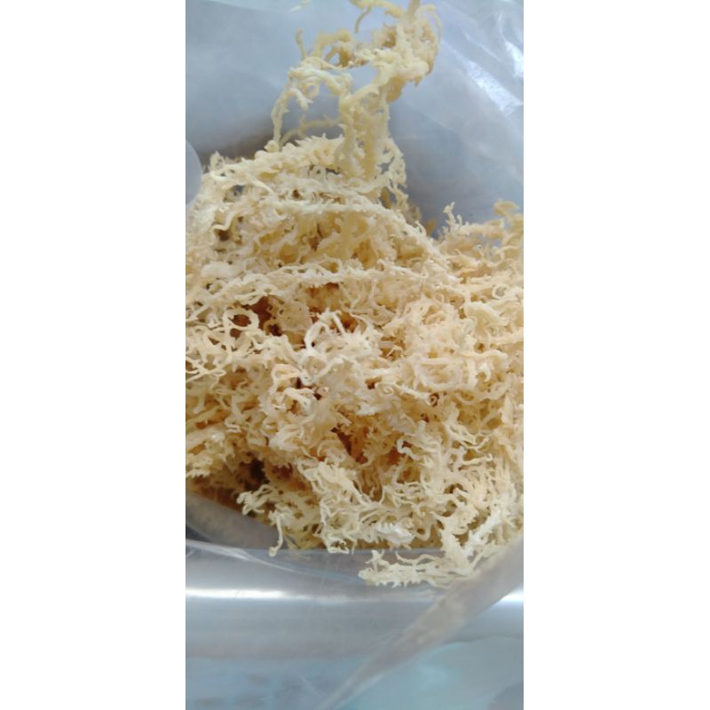 RONG SỤN LÝ SƠN KHÔ SẠCH SeaMoss- NGUYÊN CHẤT -