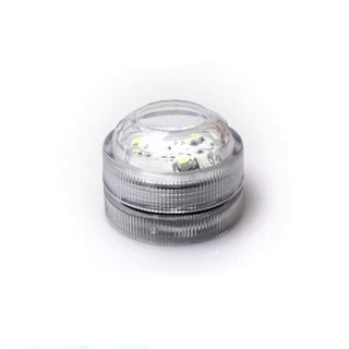 Đèn Led tròn nhỏ ánh sáng trắng, pin thay thế cho bể cá, bể marimo, cây cảnh