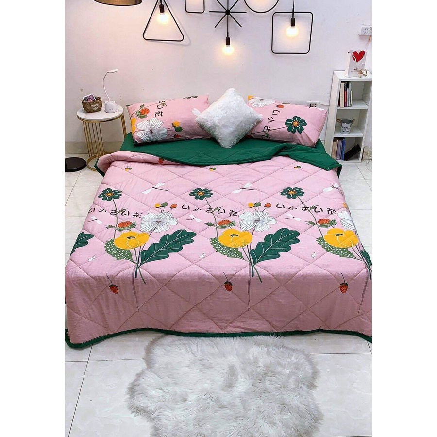 Bộ chăn ga gối chất liêu đũi cao cấp phối mầu