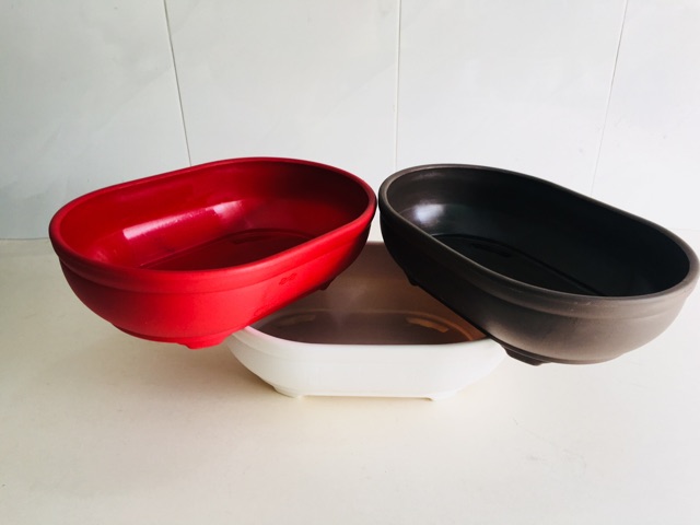 5 Chậu nhựa Oval, trang trí Để Bàn Đa Năng - chậu trồng cây bonsai
