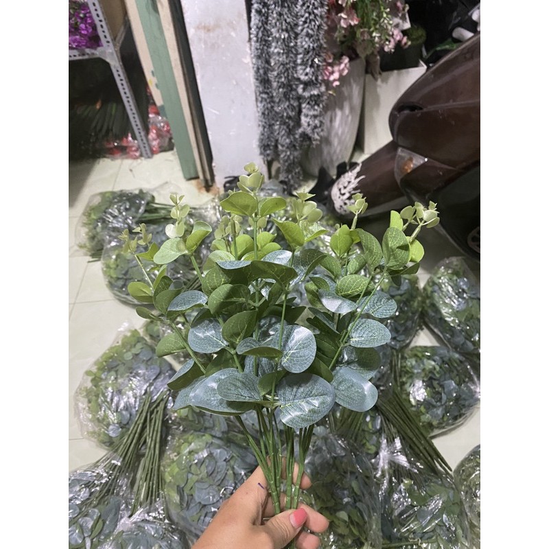Cụm Lá Táo. 25K