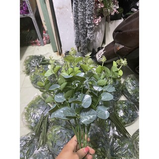 Cụm Lá Táo. 25K