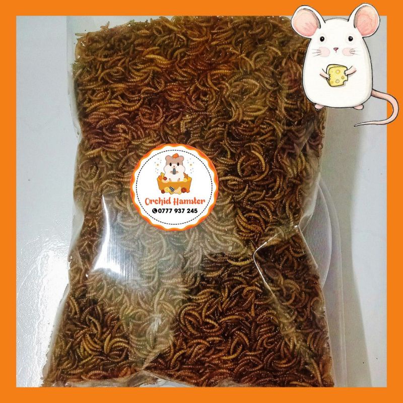 Sâu Rang Nhỏ &amp; To Hamster Món Yêu Thích Hamster