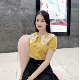 Áo kiểu ngắn tay chất voan lụa cổ đôi phối viền ren