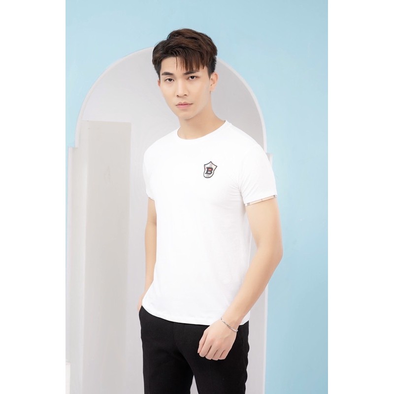 Áo phông nam kẻ | BigBuy360 - bigbuy360.vn