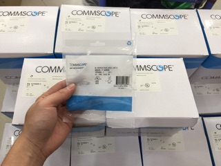 Nhân Mạng Cat6 COMMSCOPE P/N:1375055-1