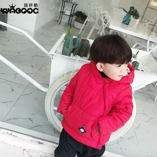 Combo c Mai Chinh