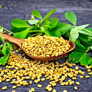 Hạt Cỏ Cà Ri Ông Chà Và 60g (Fenugreek Seeds)