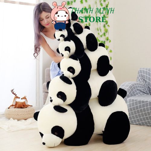 Gối Ôm Gấu Trúc Nhồi Bông 3D Tinh Khiết Gấu Bông Gối Ôm Gấu -Panda