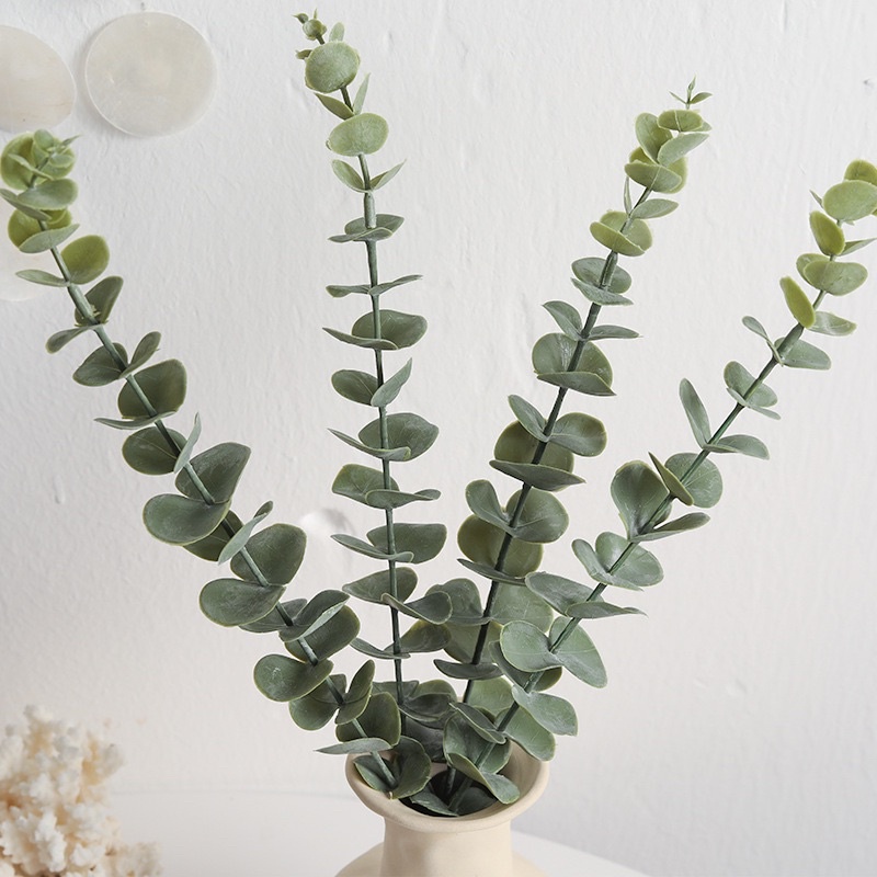 Lá cây bạch đàn decor trang trí.