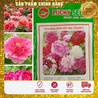 Hạt Giống Hoa Mẫu Đơn Kép ( 06 hạt) Lucky seeds