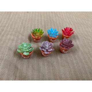Sen Đá mô hình - Tiểu cảnh trang trí Terrarium