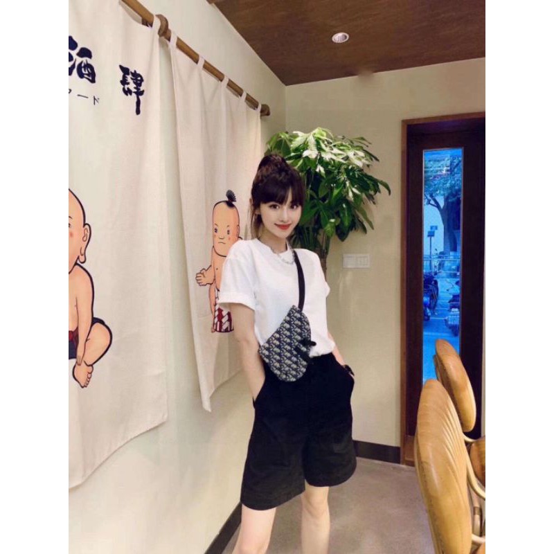 túi xách đeo chéo nam nữ dáng yên ngựa Dior saddle CD