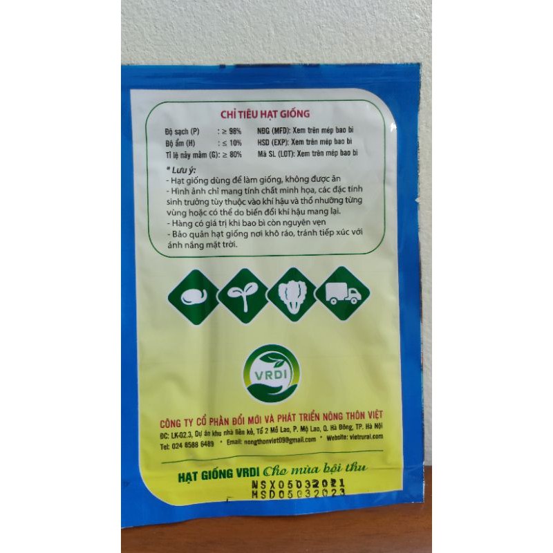 ( SIÊU HOT ) Hạt giống rau dền xanh lá dài gói 20gr