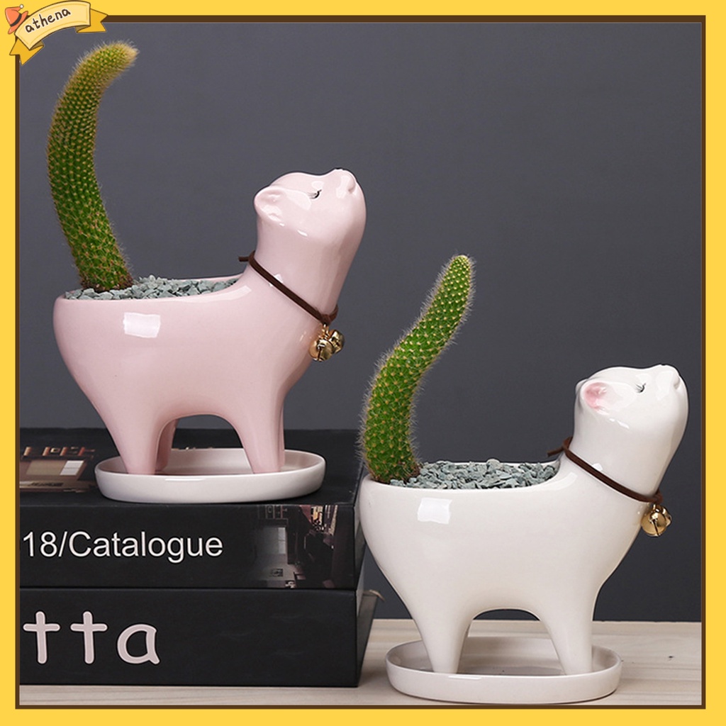 Chậu trồng cây trang trí hình mèo con dễ thương