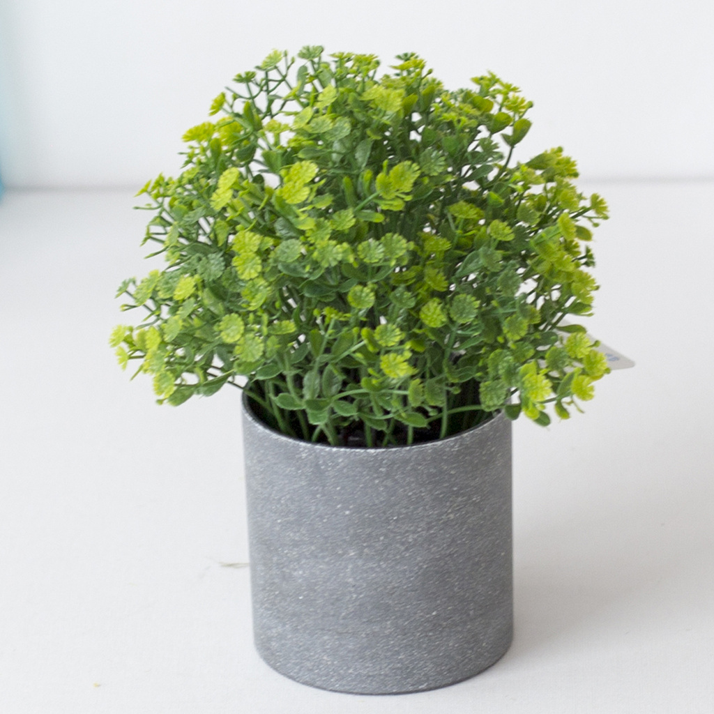 Chậu cây bonsai giả dành cho trang trí sân vườn