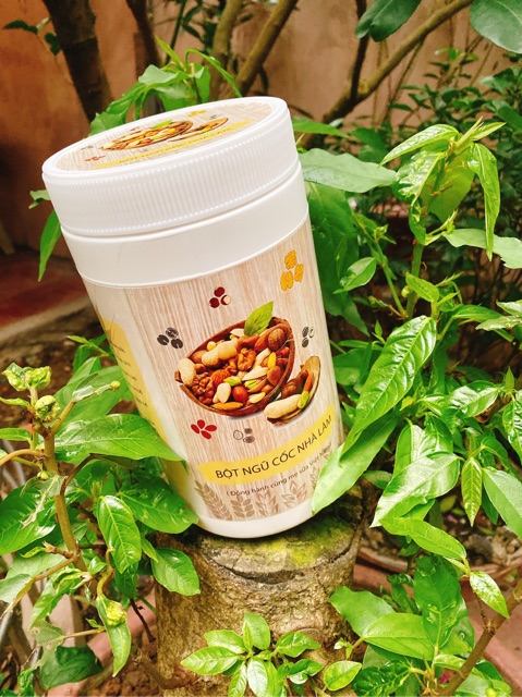 Ngũ cốc dinh dưỡng 18 loại hạt | BigBuy360 - bigbuy360.vn