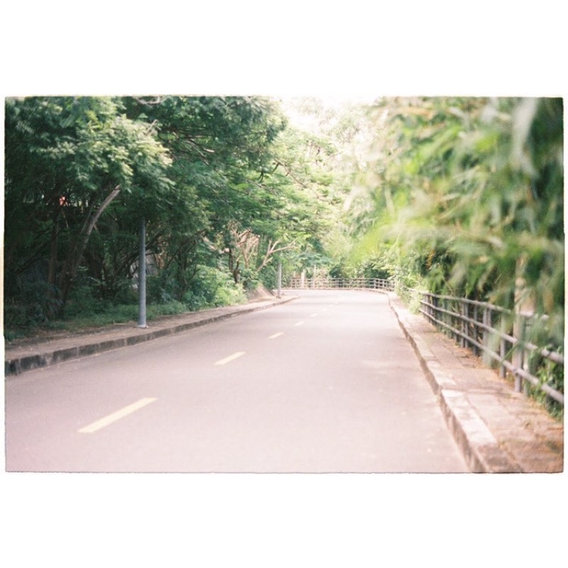 - Film 135  giá rẻ, 24 kiểu, hàng US