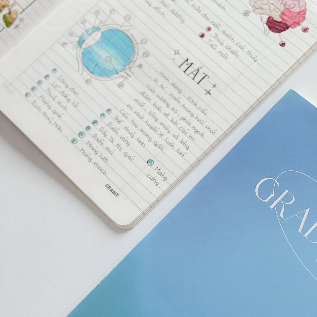 Vở kẻ ngang 80 trang Crabit Gradient Xanh dương
