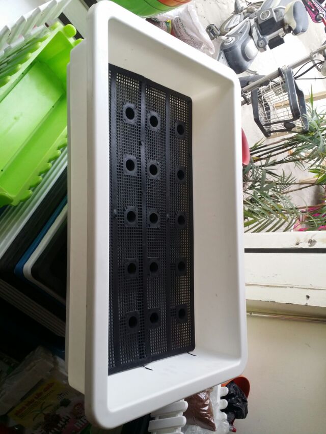 Khay trồng rau thông minh dài 68cm x rộng 42cm x cao 15cm