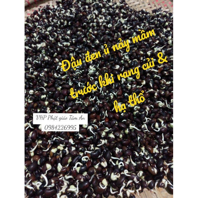 TRÀ GẠO LỨT ĐẬU ĐEN RANG TAY | BigBuy360 - bigbuy360.vn