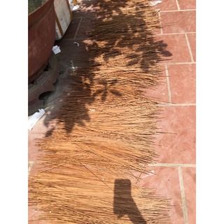 nan lồng các loại