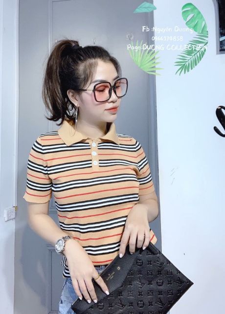 Áo len montoghi kẻ cổ bẻ hàng Quảng Châu - Áo cổ bẻ kẻ hót