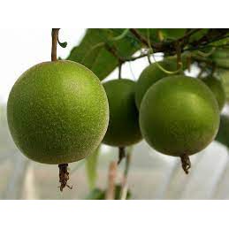 Combo 10 La hán quả làm trà