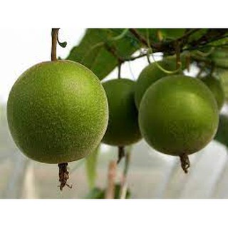 Combo 10 La hán quả làm trà