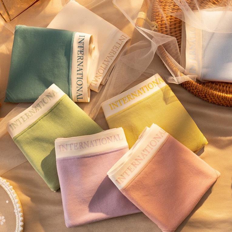 Quần Lót Nữ Cotton Cạp Su Chữ Kháng Khuẩn Màu Sắc Trẻ Trung Cao Cấp - 8858