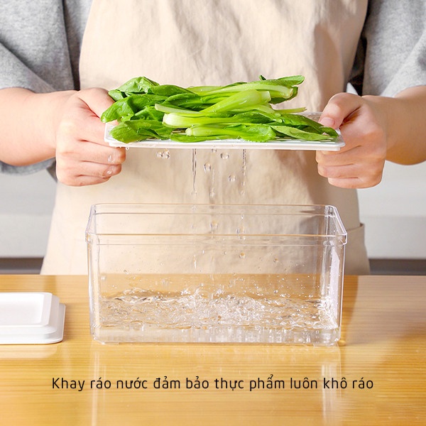 Hộp Bảo Quản Thực Phẩm Tủ Lạnh Hút Chân Không Trong Suốt Chất Liệu Nhựa ABS An Toàn Cho Sức Khỏe