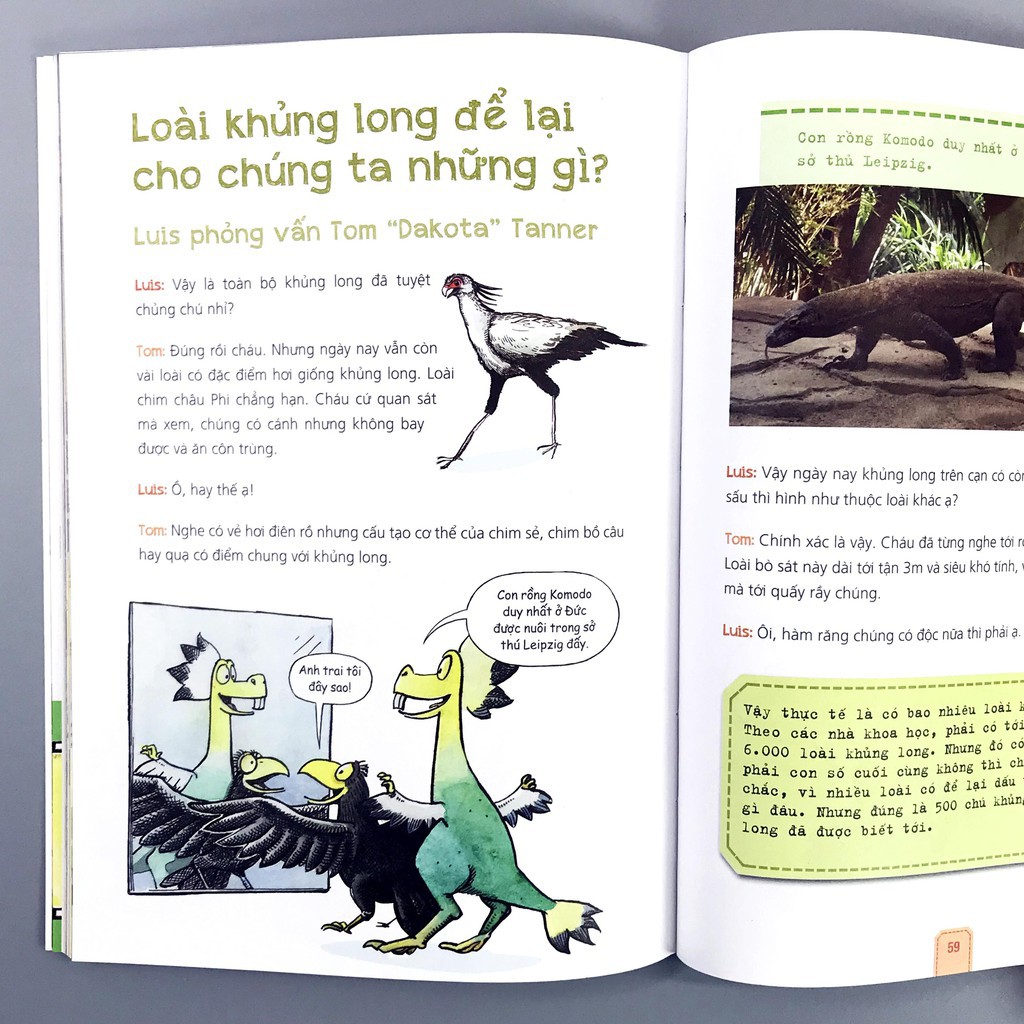Sách Hãy Cùng Cá Voi Ngắm Biển Xanh Nào! 6+