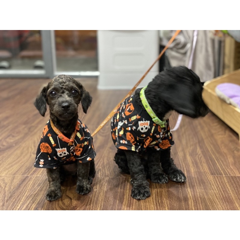 Áo thun có tay cho chó mèo