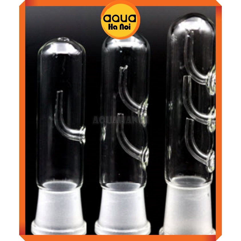 Bẫy sán thủy tinh cao cấp - 1/2/3 lỗ - loại bỏ sán, bọ nước hồ cá thủy sinh - an toàn cá tép