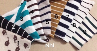 Áo cotton len cổ 3f HM