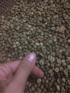 [FREESHIP 99K TOÀN QUỐC]Cà phê nhân robusta 1 kg ( chưa rang)