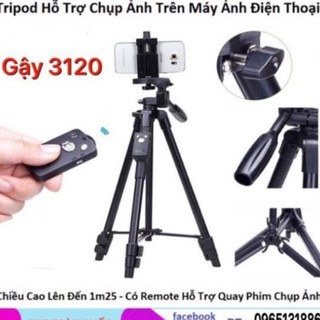 Gậy tripod 3120 chụp ảnh có điều khiển