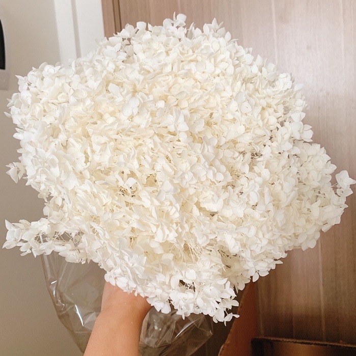 Hoa khô Cẩm Tú Cầu nhiều màu sắc, bông to nhiều hoa trang trí decor, phụ kiện chụp ảnh