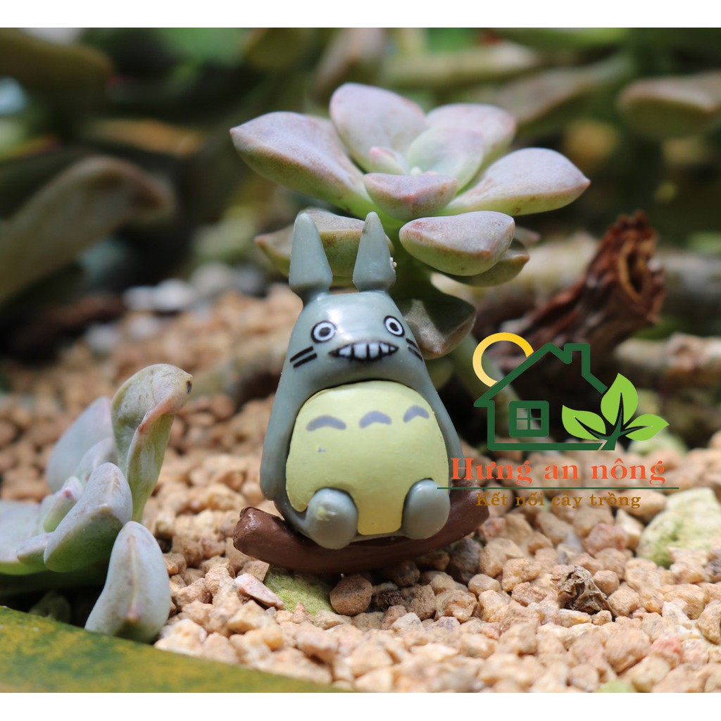TT20 - TOTORO MINI trang trí tiểu cảnh sen đá xương rồng cây để bàn 3X1,7cm