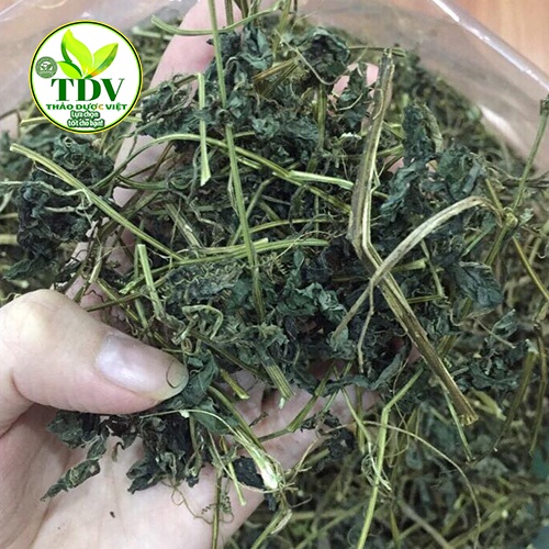 Trà giảo cổ lam Sapa 7 lá - Hàng công ty Thảo Dược Việt