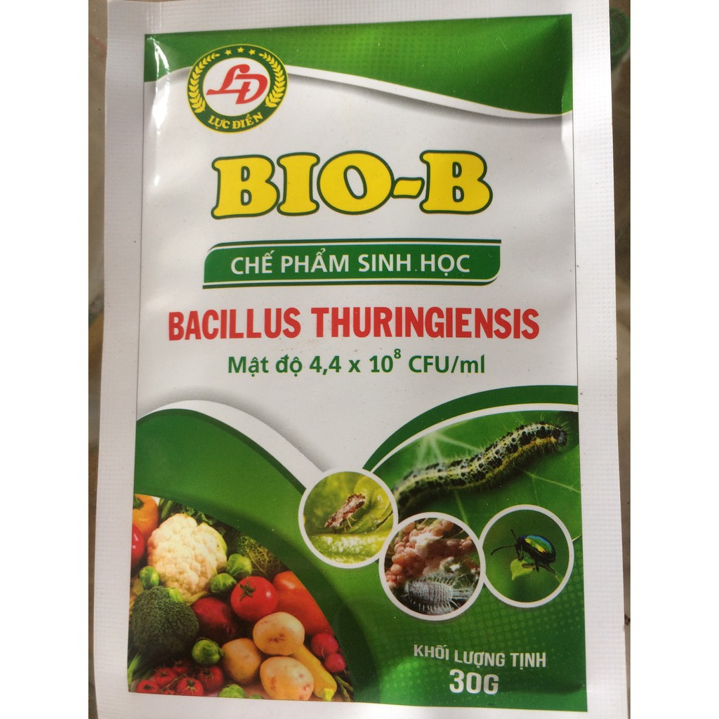 CHẾ PHẢM SINH HỌC BIO- B