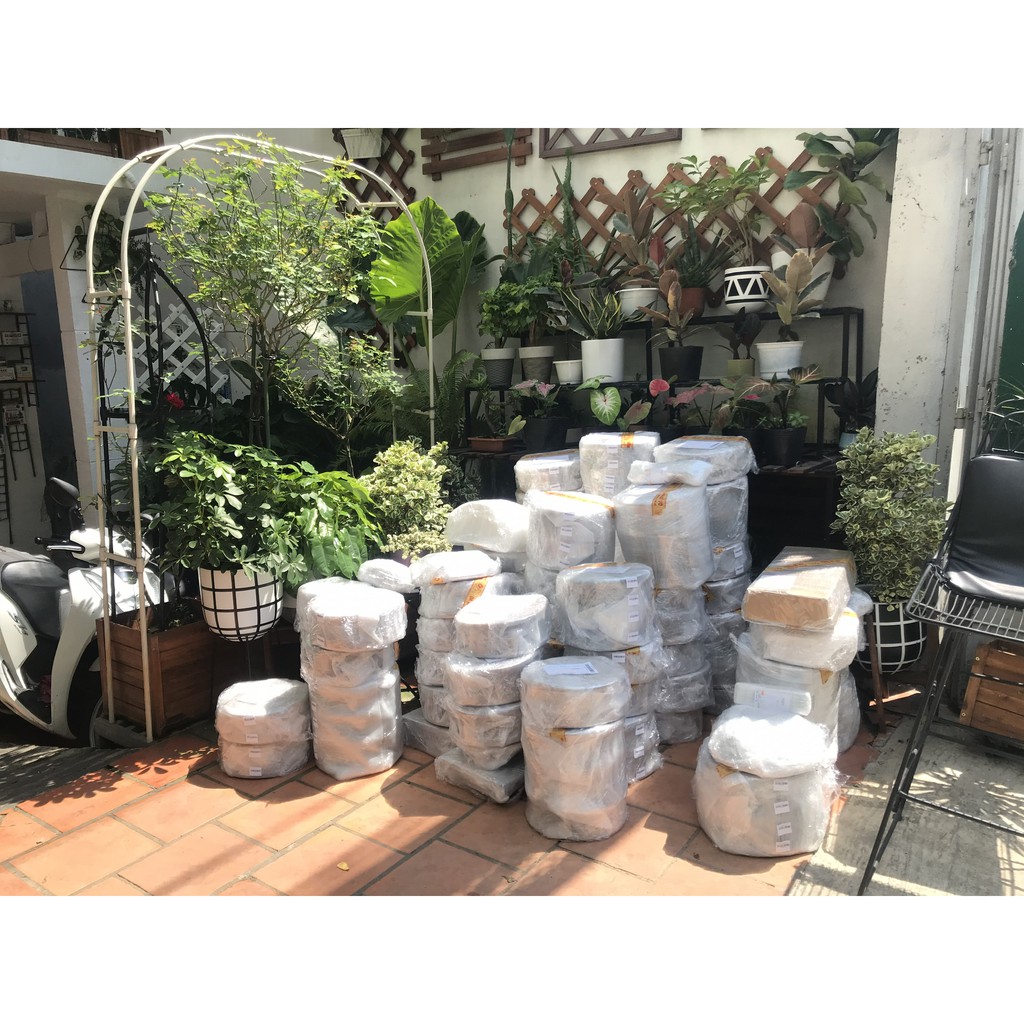 Bộ 2 Chậu gỗ trồng cây, chữ nhật, D40xR16xC16cm, gỗ Tràm chịu nước, tặng 1 hộp dưỡng hoa tươi lâu |Greenhome