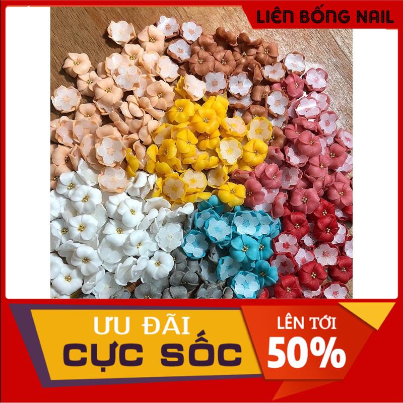 Hoa bột nail -hoa đậu