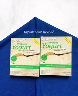 Men làm sữa chua Yogurt Probiotic
