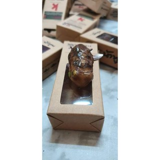 mồi giả thái lan frog toon v4
